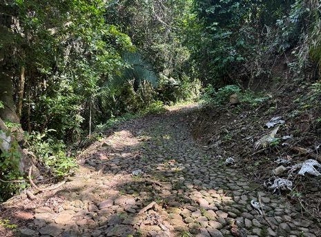 Nayarit, Nayarit