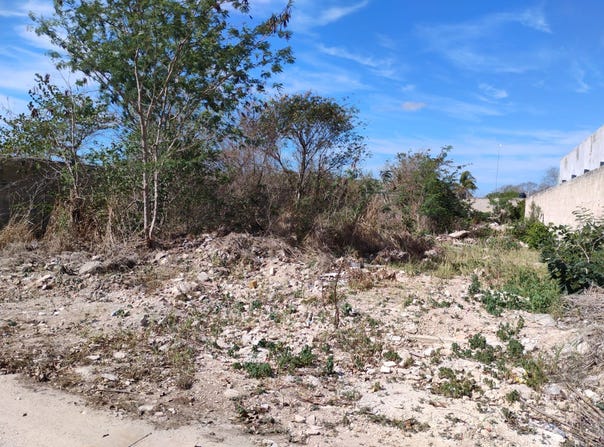 Dzityá, Dzityá, Yucatan