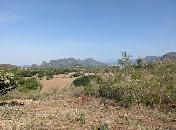 Camino Antigua a Octotitlan, SN, 10, Tecmilco, Morelos 62520