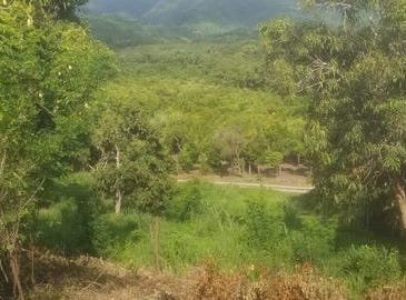 Nayarit, Nayarit