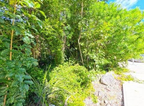 Quintana Roo, Quintana Roo
