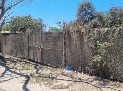 Jalisco, Nayarit