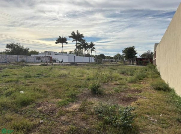 Belisario Dominguez esquina con Leona Vicario, Francisco Villa, Ahome, Sinaloa, Los Mochis, Sinaloa 81278