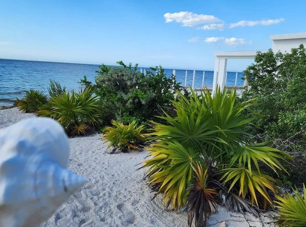 Costera, San Crisanto, Yucatan 97424