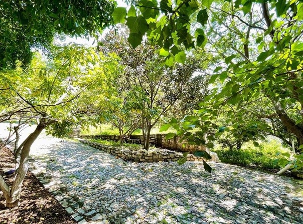 Calle Libertad 58, Ixtlahuacán de los Membrillos Ctro, Guadalajara, Jalisco, Guadalajara, Jalisco 45850