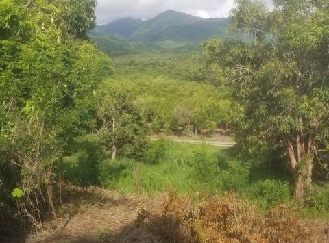 Nayarit, Nayarit