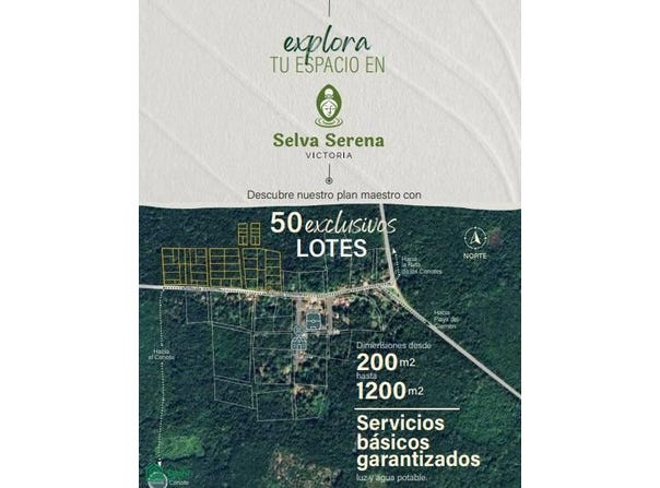 Av. Victoria Loc. Guadalupe, Victoria s/n, Benito Juárez, Lázaro Cárdenas, Quintana Roo, Lazaro Cardenas, Quintana Roo 77370