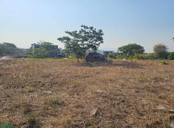 Azalea, Altozano 79, Chiapa, Cuauhtémoc, Colima, Cuauhtemoc, Colima 28530