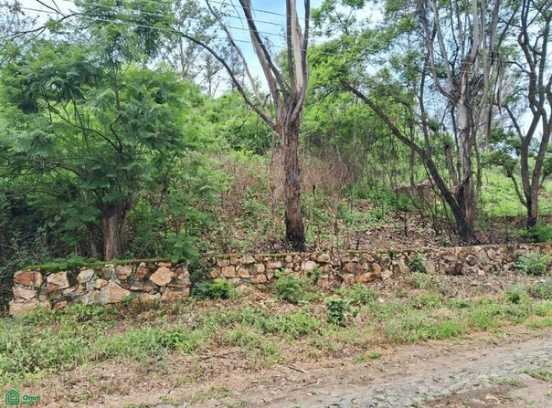 Agua Termal Fracc. Agua Escondida Lote 69, Ixtlahuacan de los Membrillos, Ixtlahuacán de los Membrillos, Jalisco, Ixtlahuacan de los Membrillos, Jalisco 45850