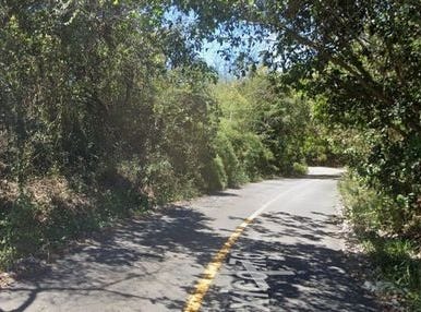 Nayarit, Nayarit