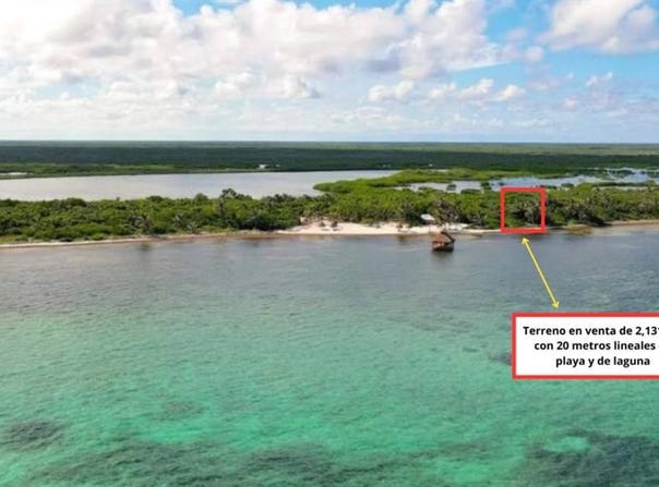 carretera xcalak - Mahahual lote 2880, Xcalak, Othón P. Blanco, Quintana Roo, Othon P Blanco, Quintana Roo 77940
