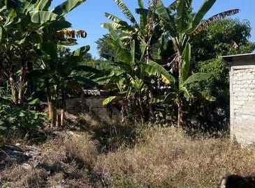 Nayarit, Nayarit