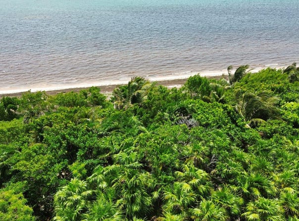 Unnamed Road, Mahahual, Quintana Roo