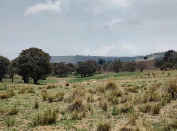 Camino sin nombre, Ayapango, State of Mexico 56760
