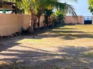 Nayarit, Nayarit