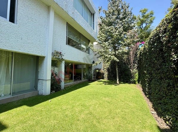 7 Magnolia, Mexico City, Ciudad de Mexico 01060