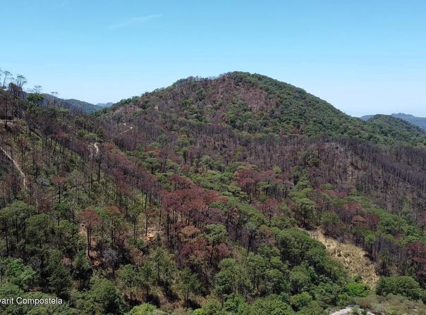 10 Sendero Nogalito, Sierra Madre Jalisco, JALISCO