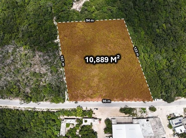 Calle 2 Norte, Tulum, Quintana Roo 77762