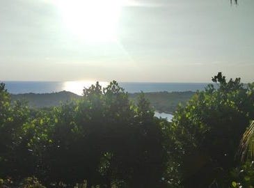 Nayarit, Nayarit