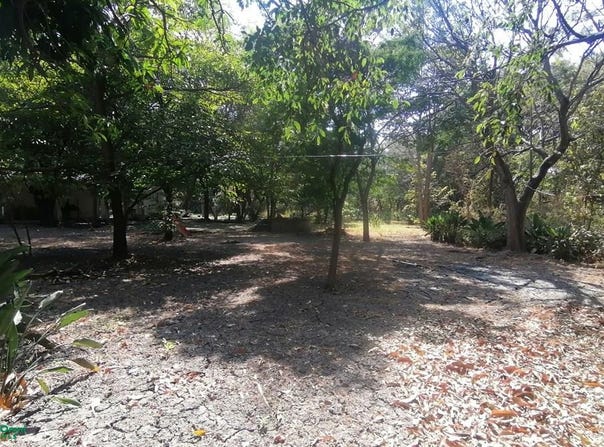 Avenida Profesor Rómulo F. Fernández 12, Oaxtepec Centro, Oaxtepec, Morelos, 62738, Morelos 62738