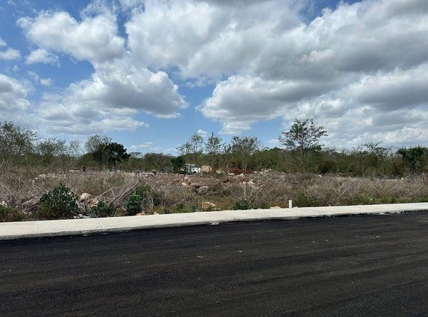 C. 24, Merida, Yucatan