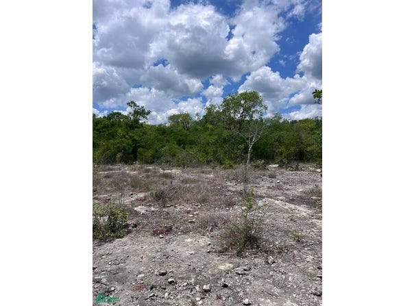 Tablaje 31547 31547, San Ignacio, Progreso, Yucatán, Progreso, Yucatan 97334