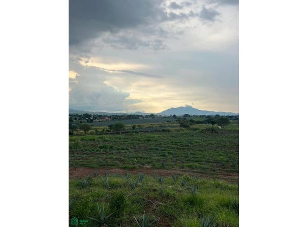 seccion sur ., Amatitan, Amatitán, Jalisco, Amatitan, Jalisco 45380