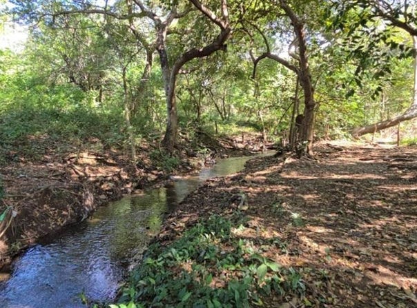 Carretera a Leon , Managua, Managua, Managua, Managua, Managua