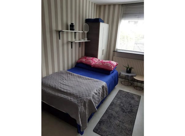 Schapendreef, Rotterdam, South Holland 3034