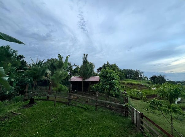 LIDICE, CAPIRA, TRINIDAD HILL, Capira, Panamá Oeste
