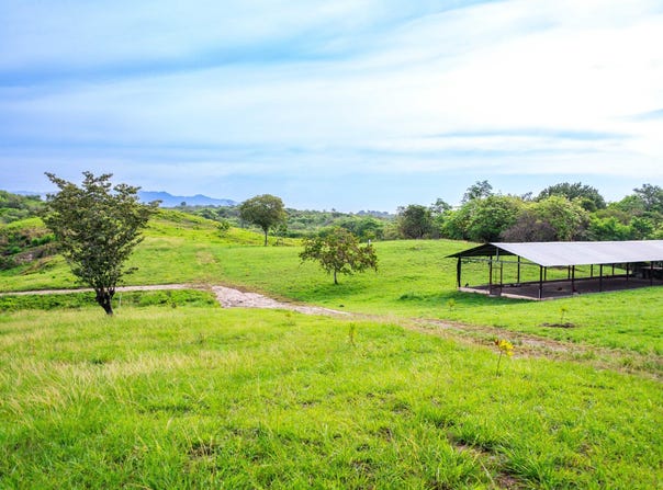 PANAMÁ OESTE, SAN CARLOS, HACIENDA PACÍFICA, San Carlos, Panamá Oeste