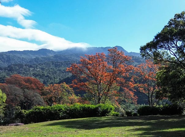Boquete, Boquete, Chiriquí Province