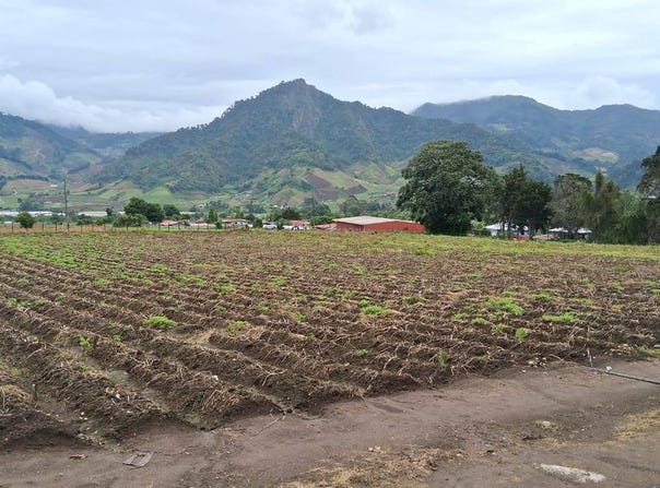 Cerro Punta 1, Cerro Punta, Chiriquí Province