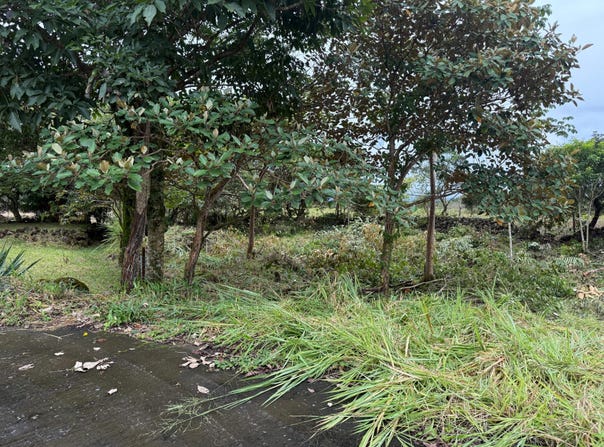 LOT #20 EMRALD DR., Boquete, Boquete