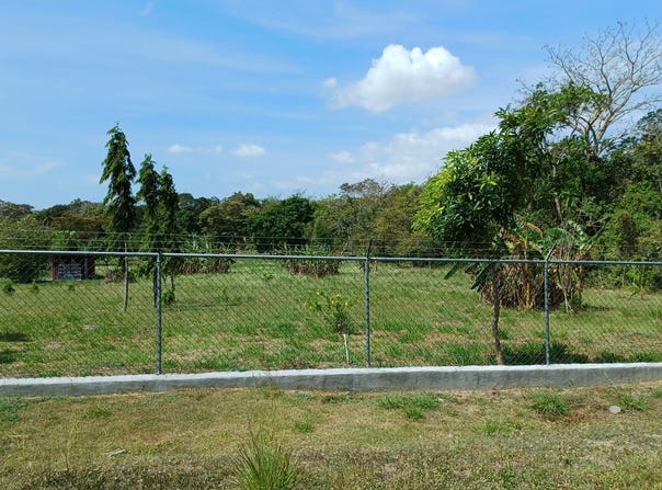 LAS UVAS, CALLE MANZANA 130907, SAN CARLOS, San Carlos, Panamá Oeste