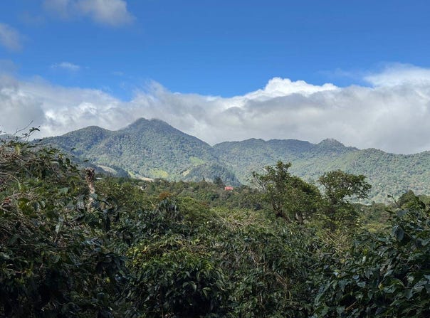 Finca Cafetera, Bajo Boquete, Chiriquí Province