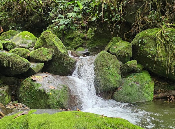 RURAL HOMESTEADS FOR SALE IN CORDILLERA ARRIBA, Boquerón, Chiriqui