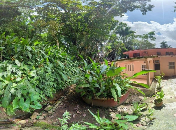 AVENIDA HEIGHTS unit: 521-A, Panamá, Panamá