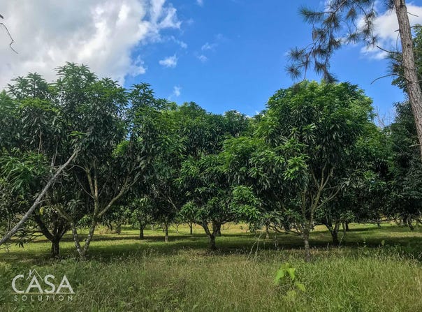 Boqueron, Boqueron, Chiriquí Province