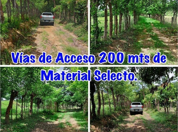 EL POTRERO, OCÚ, Ocú, Herrera