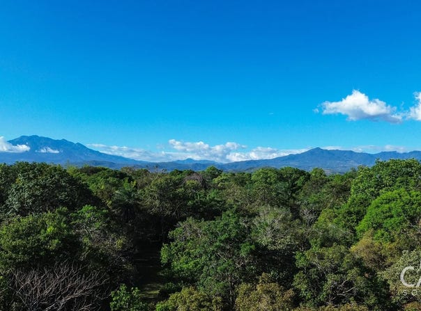 Cochea, Cochea, Chiriquí Province