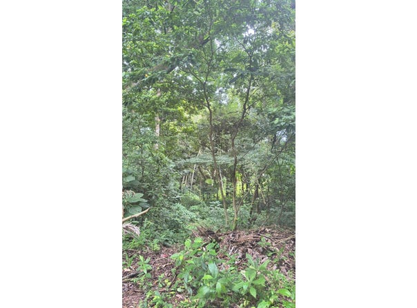 LOTE 16 B MAJAGUAL, VERACRUZ, PANAMÁ OESTE, PANAMÁ, Arraiján, Panamá Oeste