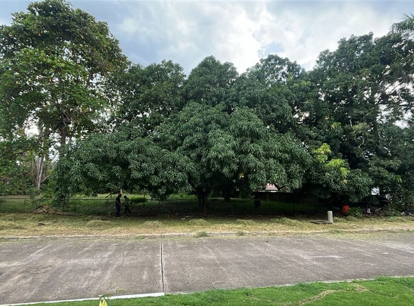 Calzada de Amador, Panamá, Panamá, Panamá Province