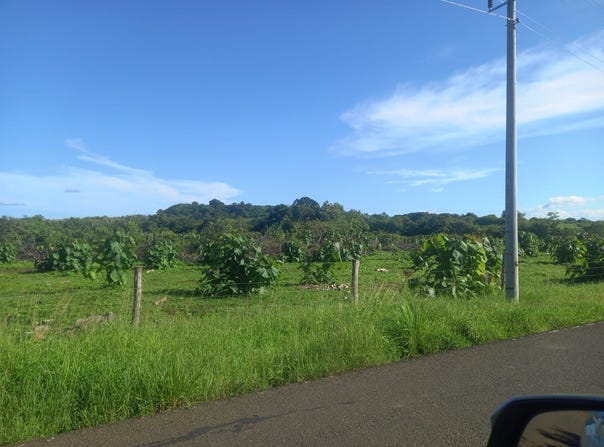 Panamá, Los Santos, Las Tablas, Paritilla de Pocrí a 140 metros del cementerio, Pocri - Paritilla, Los Santos, Pocri - Paritilla, Los Santos