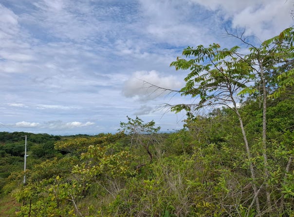 LLANO BONITO CAMINO A EL VALLE unit: 8090215998, San Carlos, Panamá Oeste