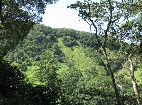 Palo Alto, Los Naranjos, Chiriquí Province