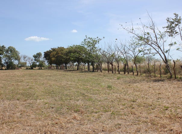 LLANO SÁNCHEZ, EL CHIRÚ unit: Terreno, Antón, Coclé