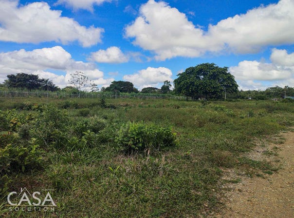 Dolega District, Dolega District, Chiriquí Province