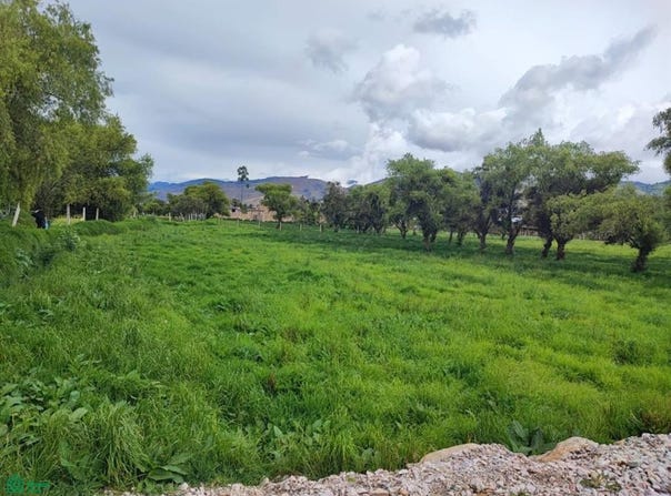 Jr Miguel Angel Lote 19, Cajamarca, Cajamarca, Cajamarca, Cajamarca