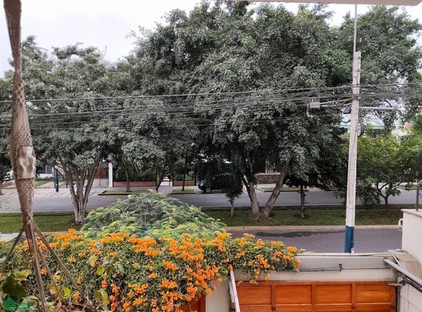 Av. Alfredo Franco S/N, Santiago de Surco, Lima, Lima, Lima, Lima